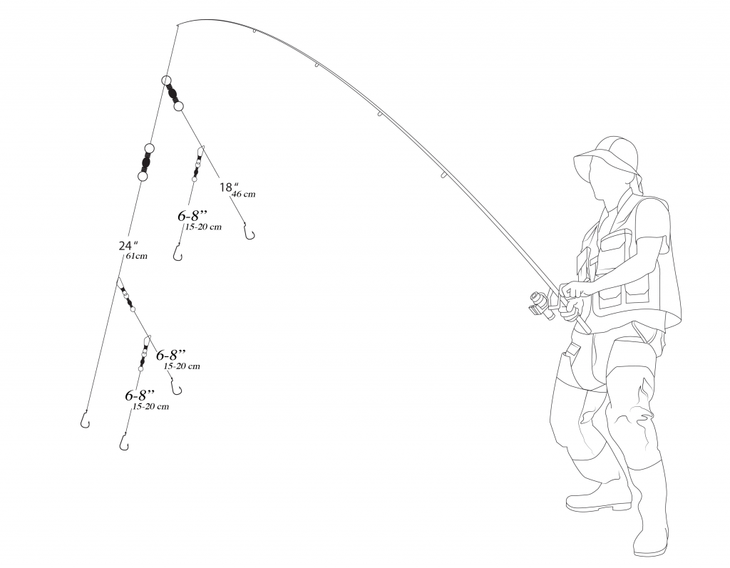 clinch knot fishing minnow swarm diagram